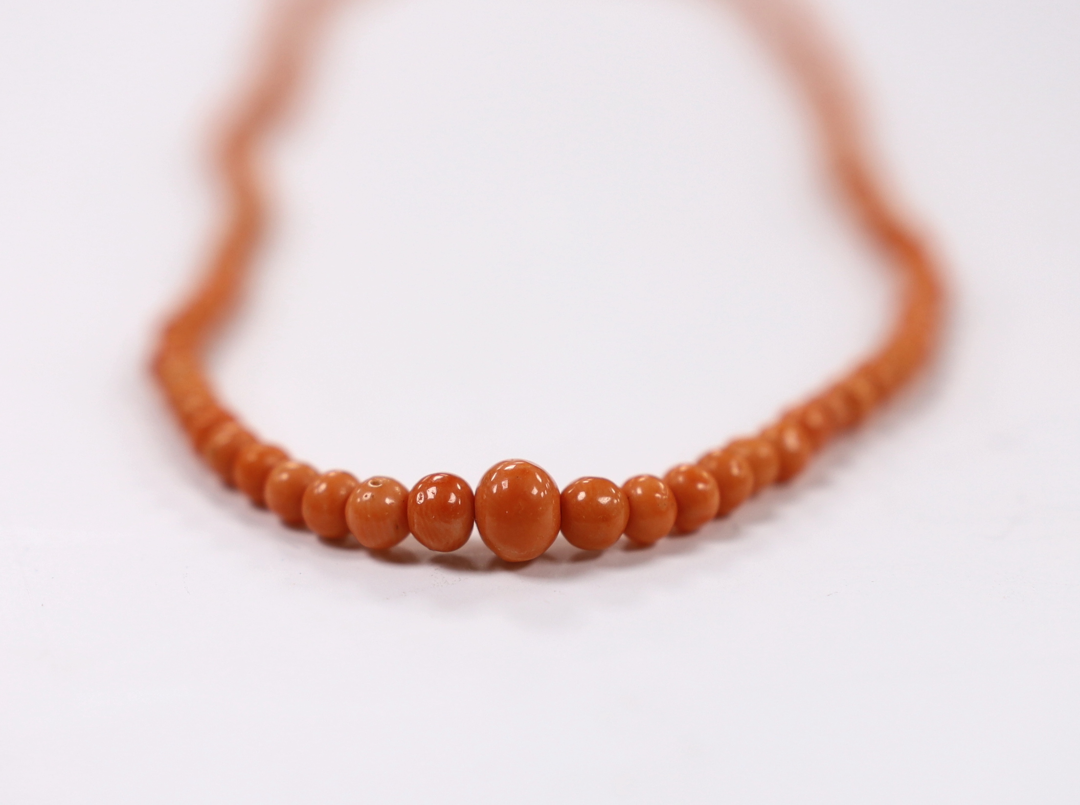 A single strand graduated coral bead necklace, with 9k clasp, 42cm.